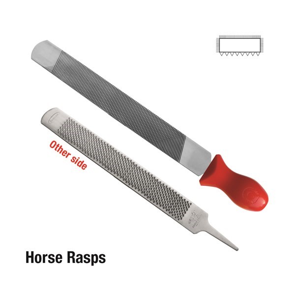 TOLEDO Horse Rasps - STW Industrial & Safety