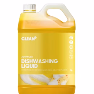 Manual Dishwashing