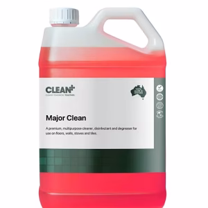CLEAN PLUS Major Clean